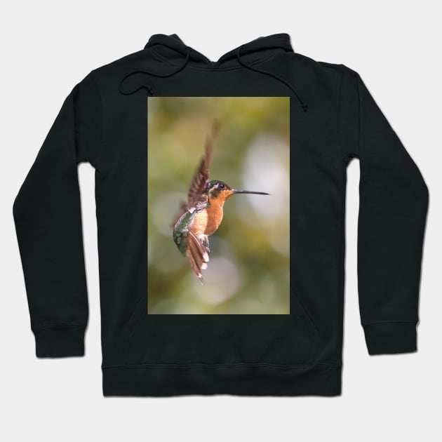 Hummingbird Acrobatics Hoodie by Carole-Anne